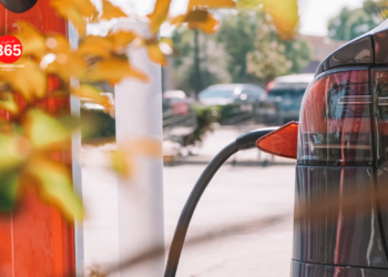 Optimistic Market Response to Tesla's Cybertruck Launch Boosts Stock Price?