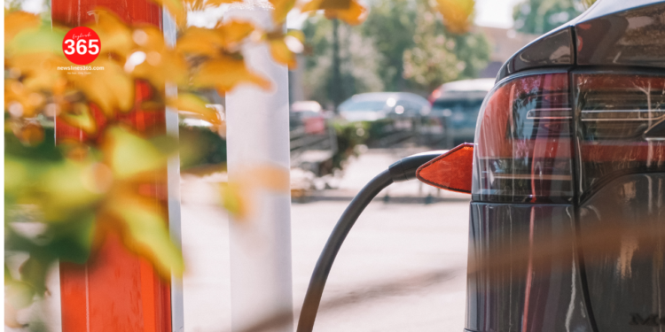 Optimistic Market Response to Tesla's Cybertruck Launch Boosts Stock Price?